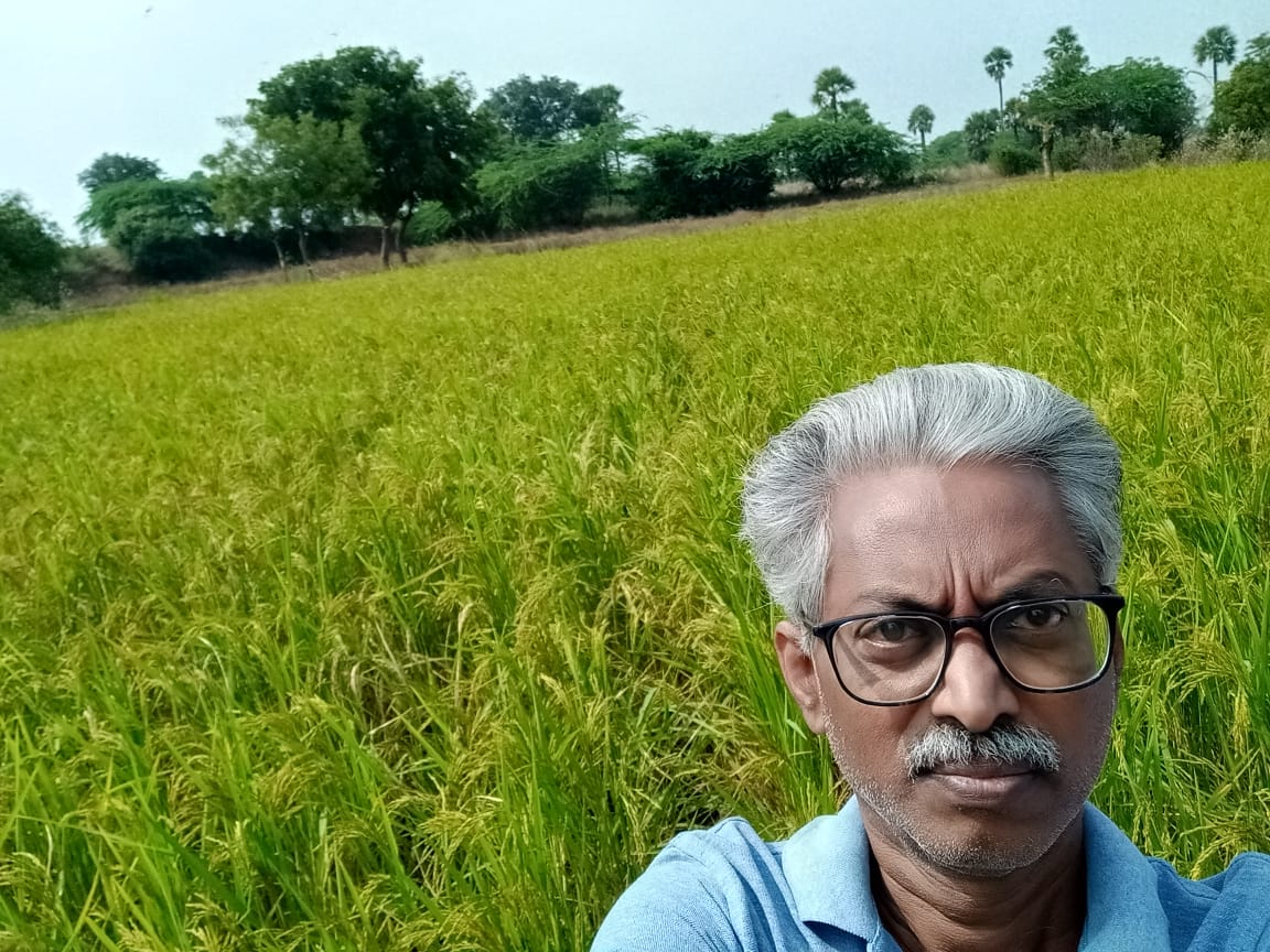 MS Subrahmanyam Raju, a farmer achieves a success in converting Chowdu Bhoomi (Alkaline Soil) into cultivable lands with good yields