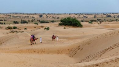 ‘DESIGNS’ to conserve and restore Thar desert
