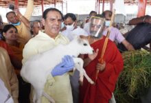 Jeeyar Swami Dhyan Foundation Gaushala inaugurated